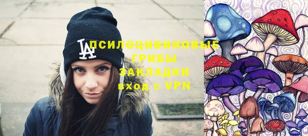 гидра Пестово