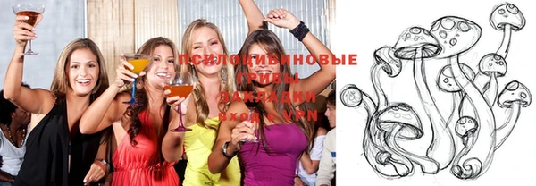 прущая мука Алексин