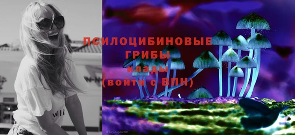 индика Алексеевка