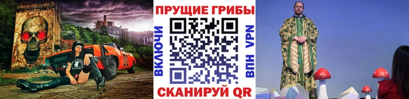 где продают   Дрезна  Псилоцибиновые грибы прущие грибы 